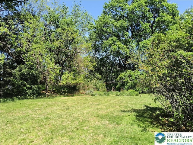 view of grassy yard
