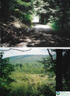 Pantherlick Rd, Pa, PA 18846 - photo 1