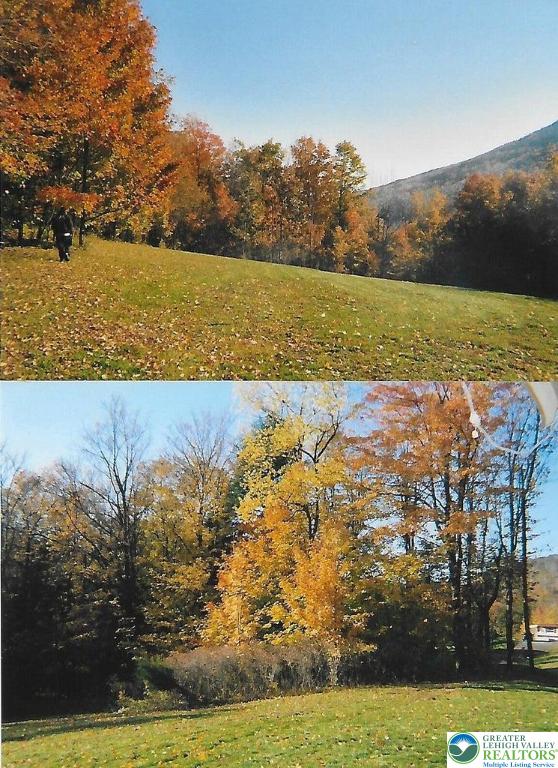 Pantherlick Rd, Pa, PA 18846 - photo 2