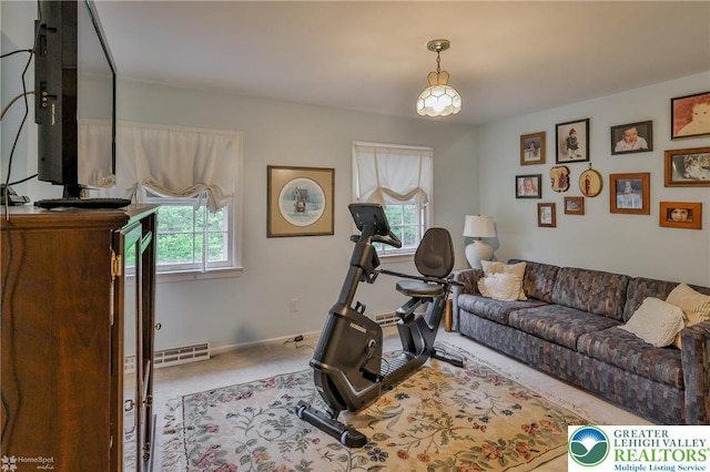 1245 Valley View Dr, Lower Macungie Twp, PA 18103 - exercise room featuring healthy amount of natural light, carpet floors, and baseboards
