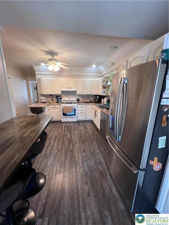 kitchen with appliances with stainless steel finishes, dark wood-style flooring, white cabinetry, a ceiling fan, and a sink