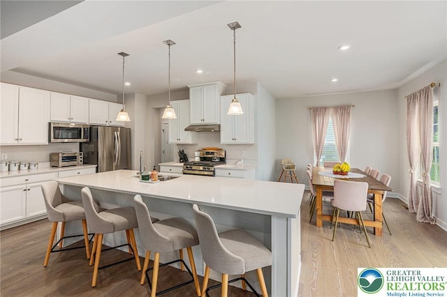 kitchen featuring appliances with stainless steel finishes, a sink, under cabinet range hood, an island with sink, and light wood finished floors