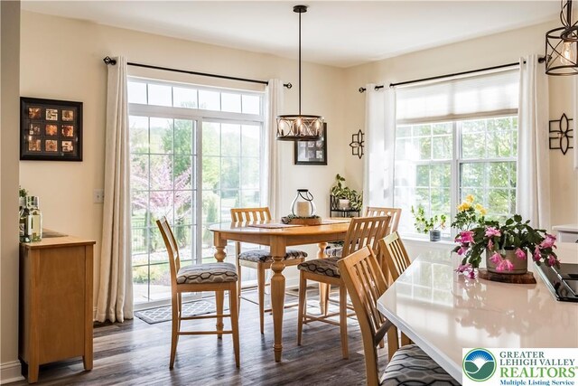 dining area featuring dark wood-style flooring