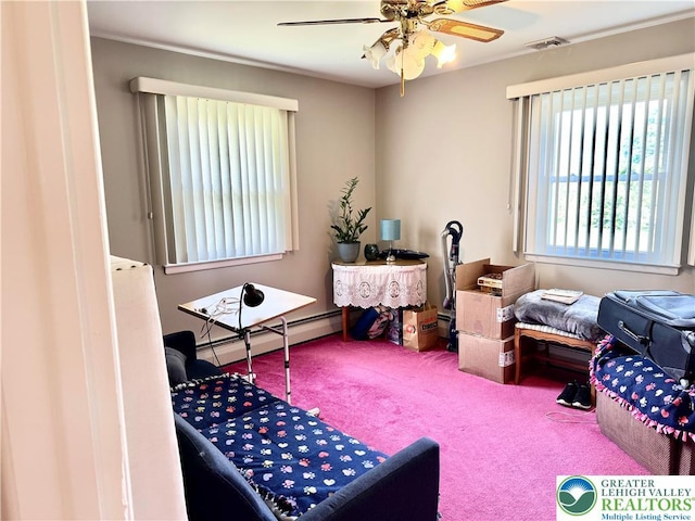 8173 Holbens Valley Rd, Weisenberg Twp, PA 18066 - misc room with baseboard heating, ceiling fan, and carpet