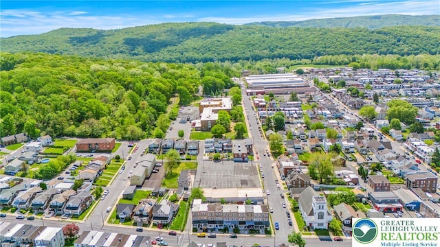 410 E Hamilton St, Allentown City, PA 18109 - aerial view of residential area with a heavily wooded area and a mountain backdrop