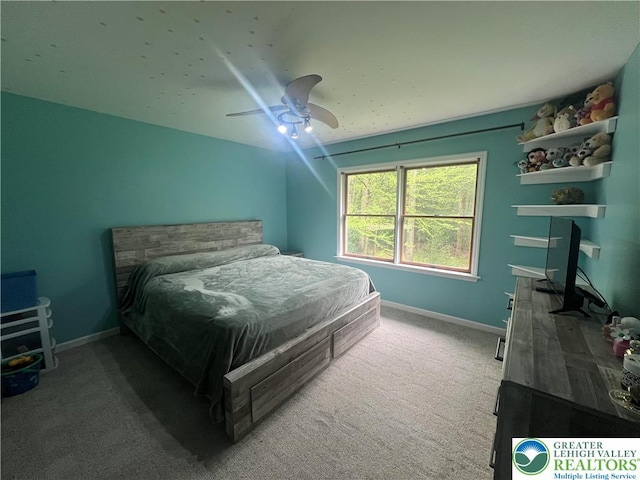 199 Lower Valley Dr, Polk Twp, PA 18058 - bedroom featuring carpet floors, baseboards, and ceiling fan