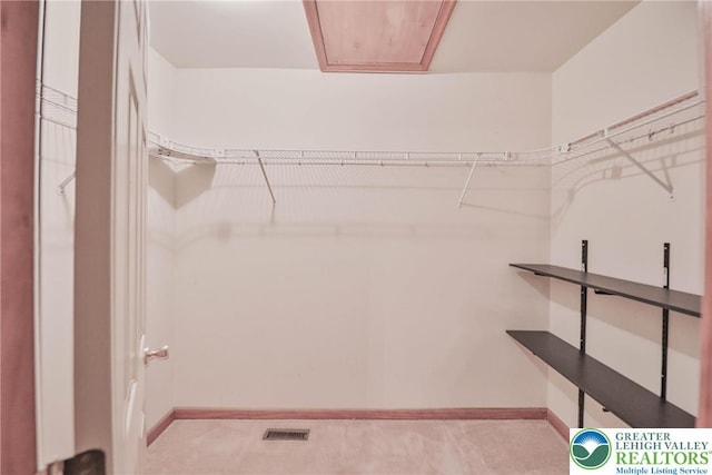 4579 W Mountain View Dr, Lehigh Twp, PA 18088 - view of walk in closet
