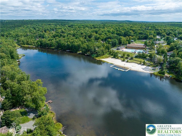 1918 Horseshoe, Coolbaugh Twp, PA 18466 - aerial view of a heavily wooded area and a large body of water