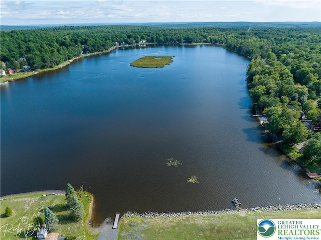 1918 Horseshoe, Coolbaugh Twp, PA 18466 - aerial view of a heavily wooded area and a large body of water