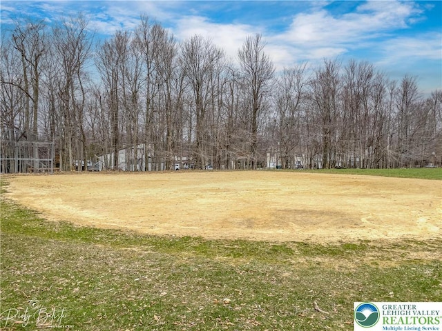 1918 Horseshoe, Coolbaugh Twp, PA 18466 - view of grassy yard