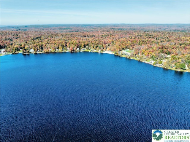 266 Maxatawny Dr, Coolbaugh Twp, PA 18347 - drone / aerial view of a heavily wooded area and a nearby body of water
