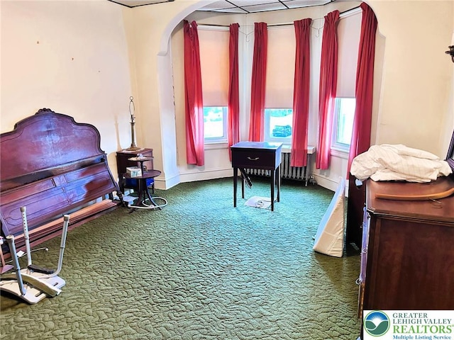520 2nd St, Catasauqua Borough, PA 18032 - sitting room featuring carpet flooring, arched walkways, plenty of natural light, and baseboards