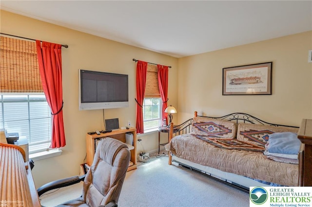bedroom featuring carpet flooring and multiple windows