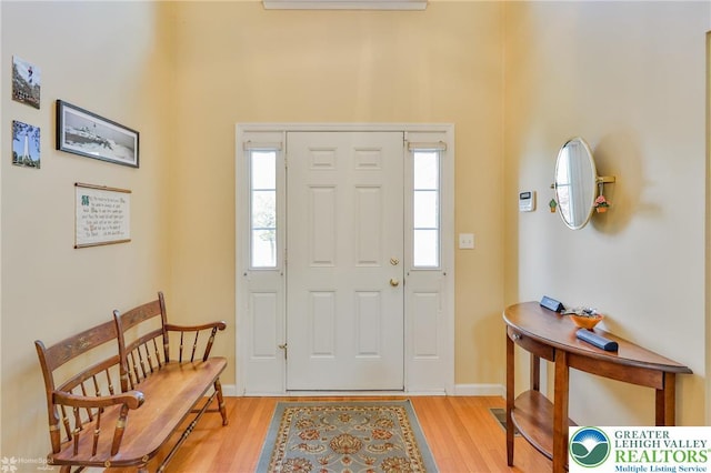 entrance foyer featuring wood finished floors, baseboards, and a high ceiling