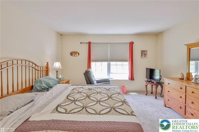 bedroom featuring carpet floors