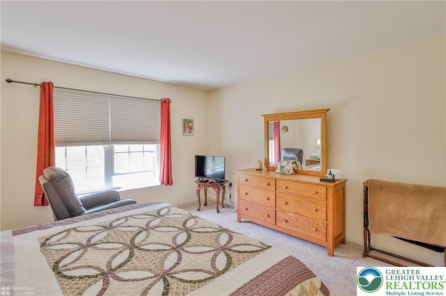bedroom with light carpet