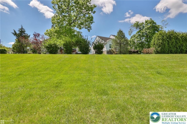view of green lawn