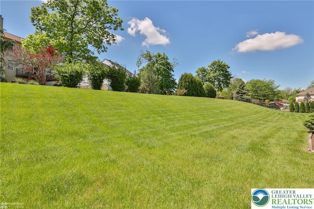 view of grassy yard