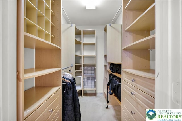 spacious closet featuring light carpet