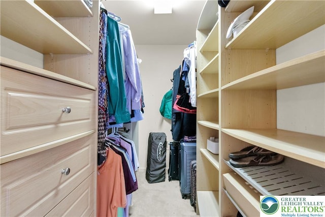 spacious closet with light colored carpet