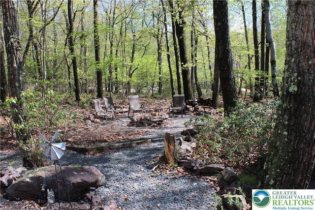 view of wooded area