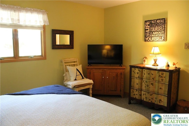 bedroom with carpet flooring