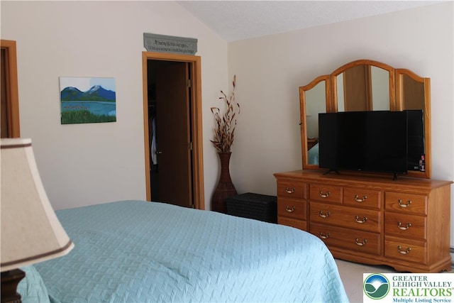 bedroom featuring vaulted ceiling