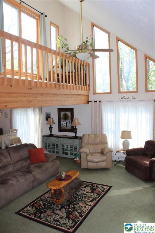 living area featuring high vaulted ceiling and carpet