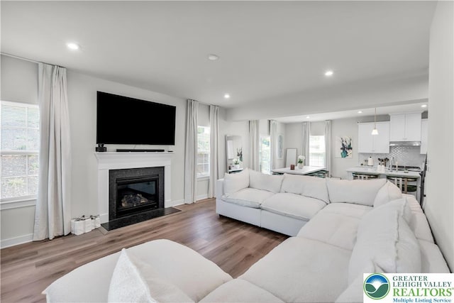 8202 Young Blvd, Upper Macungie Twp, PA 18051 - living room with wood finished floors, recessed lighting, a fireplace, and baseboards