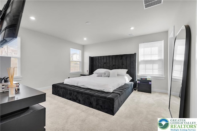 8202 Young Blvd, Upper Macungie Twp, PA 18051 - bedroom featuring carpet floors, baseboards, and recessed lighting