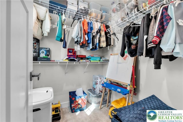 8202 Young Blvd, Upper Macungie Twp, PA 18051 - view of spacious closet