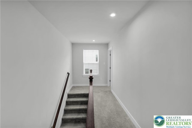 8202 Young Blvd, Upper Macungie Twp, PA 18051 - photo 46