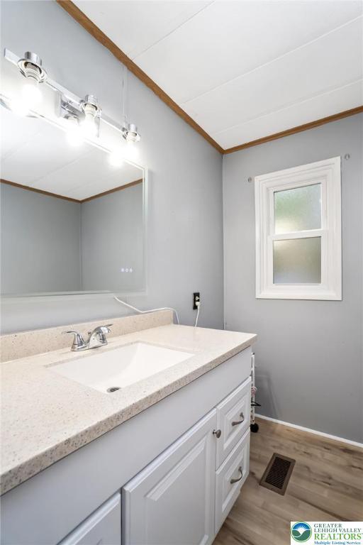 bathroom with vanity, wood finished floors, and ornamental molding