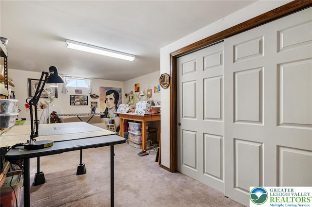 playroom with light colored carpet