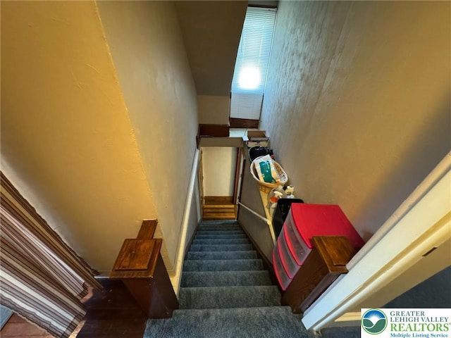 staircase with a textured wall and carpet floors