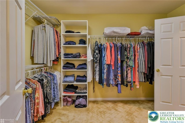 view of walk in closet