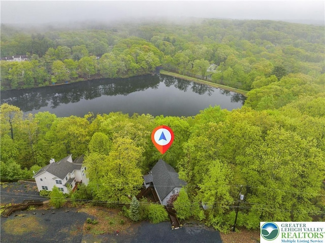 aerial view of a forest and a large body of water