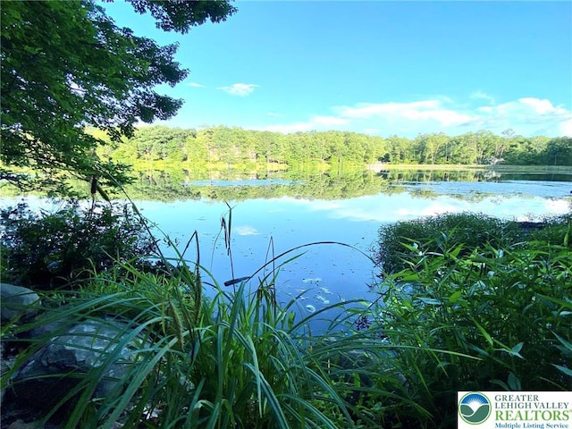 2171 Lancaster Dr, Lehman Twp, PA 18324 - water view featuring a forest