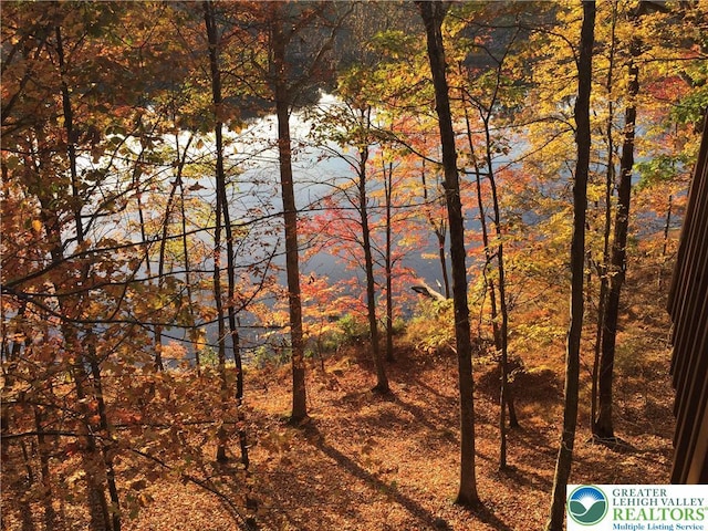 2171 Lancaster Dr, Lehman Twp, PA 18324 - water view
