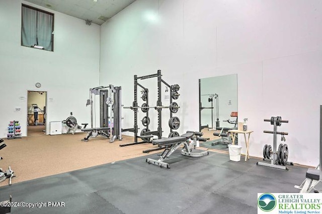 2171 Lancaster Dr, Lehman Twp, PA 18324 - workout area featuring a towering ceiling