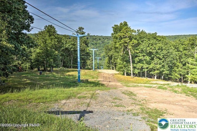 2171 Lancaster Dr, Lehman Twp, PA 18324 - view of community with a wooded view