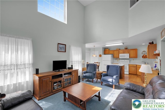 living room with a high ceiling and light colored carpet