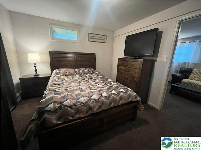 2637 Fernwood Ave, Jackson Twp, PA 18321 - bedroom featuring dark carpet and baseboard heating
