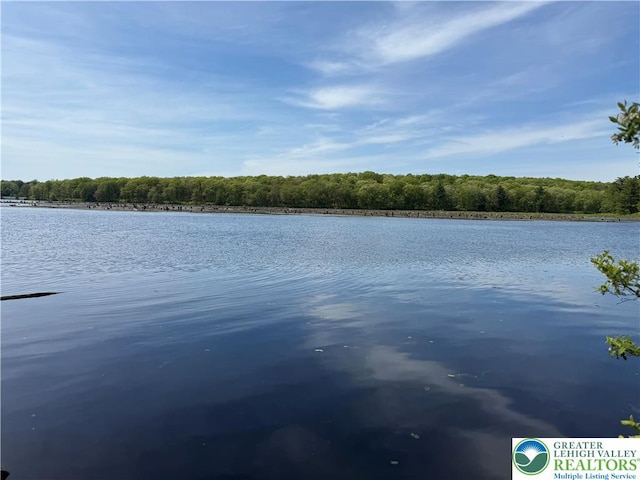 water view with a forest