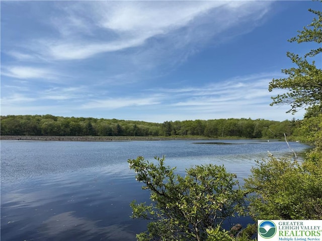 water view with a heavily wooded area