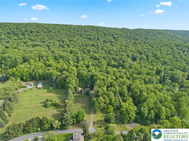 aerial view of a forest