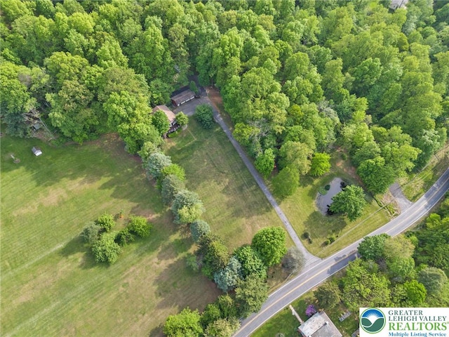 drone / aerial view