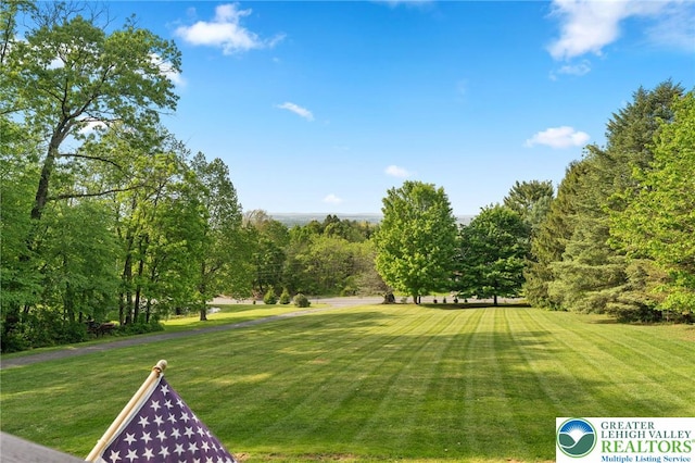 view of community featuring a lawn