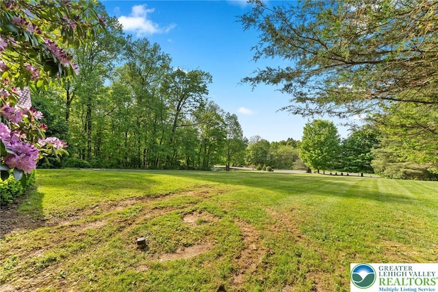 view of green lawn