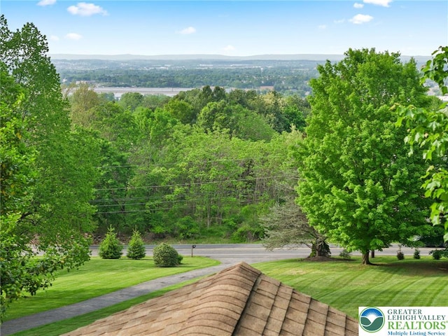 surrounding community with a lawn